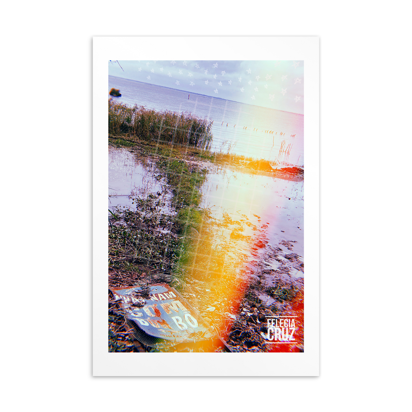 Felecia Cruz “Border Run” Collectable Postcard